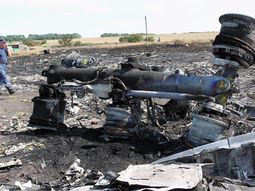 ucrania ordeno el alto el fuego en la zona donde cayo el avion de malaysia ucrania ordeno el alto el fuego en la zona donde cayo el avion de malaysia