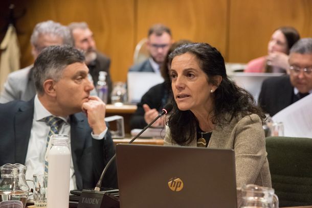 Arbeleche expuso ante la Comisión de Presupuesto y Hacienda del Senado.