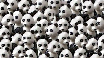 el nuevo desafio de facebook: encontrar a un perro entre pandas el nuevo desafio de facebook: encontrar a un perro entre pandas