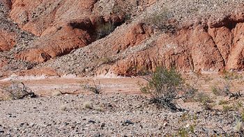 san juan: encontraron un cementerio de animales de 200 millones de anos san juan: encontraron un cementerio de animales de 200 millones de anos