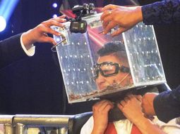 canta si puedes: a un concursante le llenaron la cara de cucarachas canta si puedes: a un concursante le llenaron la cara de cucarachas