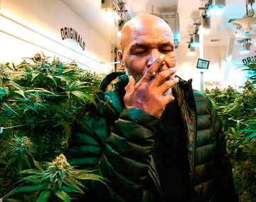 Mike Tyson gana 500 mil dólares mensuales con su plantación de cannabis