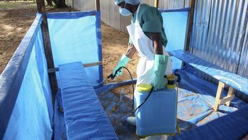 por el brote de ebola aumentaron los precios en las cosechas de africa por el brote de ebola aumentaron los precios en las cosechas de africa