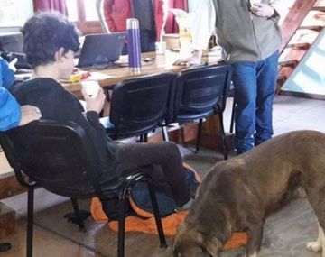 La odisea de un chico de 13 años