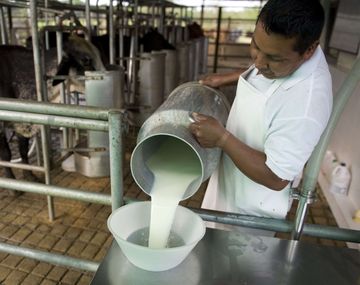 La producción de leche cayó a niveles de hace 20 años