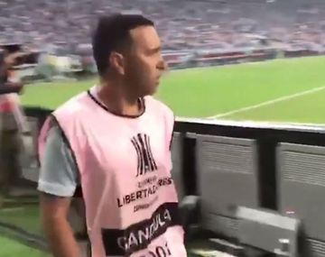 Este es el alcanzapelotas agresor