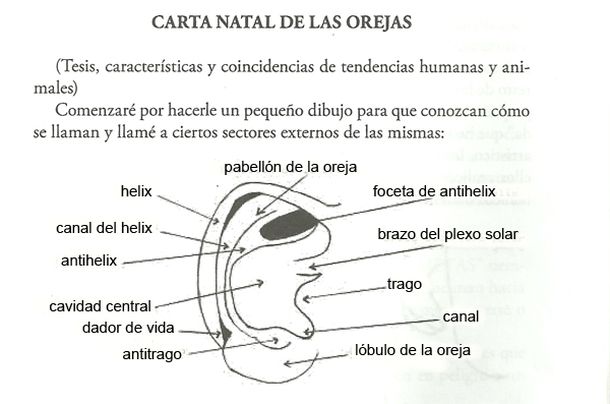 Oreja
