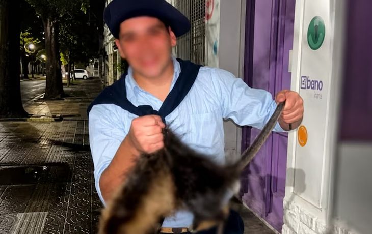 Dos jóvenes de 18 años que le pegaban patadas a una nutriahasta matarla.