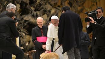 francisco lo confirmo: todos los perros van al cielo francisco lo confirmo: todos los perros van al cielo
