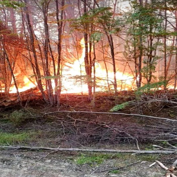 Incendios forestales: seis provincias registran focos activos