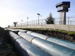 cinco reclusos se habrian escapado con joaquin el chapo guzman cinco reclusos se habrian escapado con joaquin el chapo guzman