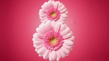 ¿por que hoy se conmemora el #diadelamujer? ¿por que hoy se conmemora el #diadelamujer?