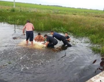 Tragedia en la costa uruguaya: cuatro muertos al caer camioneta a un arroyo