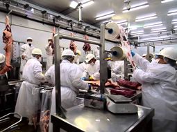 La industria frigorífica es una de las que más cayó en lo que va del año. La industria frigorífica es una de las que más cayó en lo que va del año.