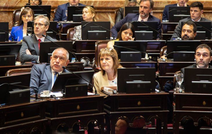 Patricia Bullrich en el Senado.