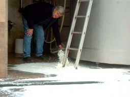 tamberos denunciaran a las usinas que no paguen el precio oficial tamberos denunciaran a las usinas que no paguen el precio oficial