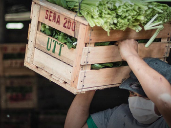 Se viene el segundo Feriazo Navideño: frutas y verduras a precios populares