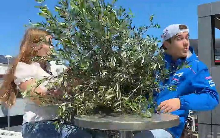 Una planta cayó en plena entrevista y Colapinto reaccionó con una frase desopilante Una planta cayó en plena entrevista y Colapinto reaccionó con una frase desopilante