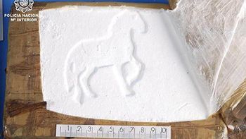 La droga está valuada en 2 millones de pesos La droga está valuada en 2 millones de pesos