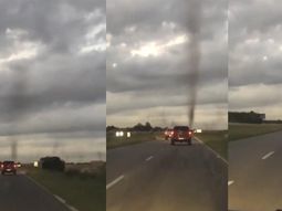 VIDEO: El increíble tornado de mosquitos que apareció en una ruta de Pinamar