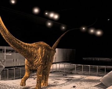Descubrieron en Mendoza restos del dinosaurio más grande del  mundo