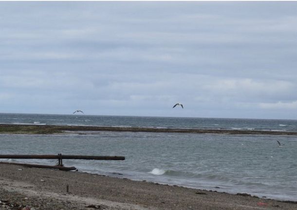 Retó a su amigo a nadar en el mar y murió ahogado