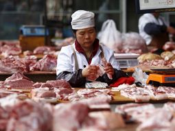 China realizó la primera auditoría virtual de carne equina en el Frigorífico Clay. China realizó la primera auditoría virtual de carne equina en el Frigorífico Clay.