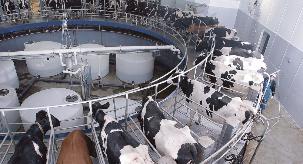 El mercado aguarda un mejor 2024 para la industria láctea.