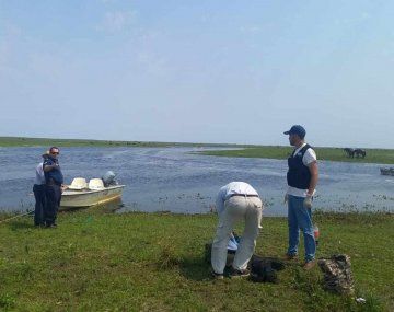 Peón rural de 18 años murió ahogado mientras arreaba animales en un río