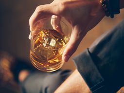 muy baratos pero de excelente calidad: las dos marcas de whisky que son una ganga en mexico y profeco los recomienda en 2026 muy baratos pero de excelente calidad: las dos marcas de whisky que son una ganga en mexico y profeco los recomienda en 2026