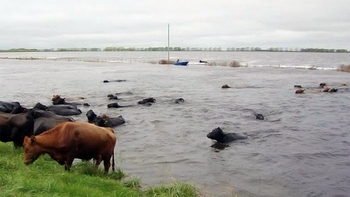 el campo pide postergar la cuota del inmobiliario rural el campo pide postergar la cuota del inmobiliario rural
