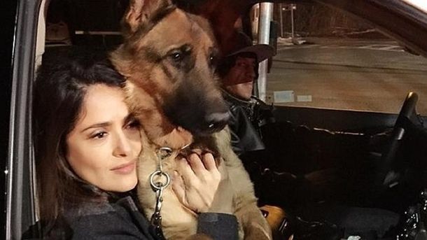 Salma Hayek agradece el apoyo por la muerte de su perro e investiga quién lo mató