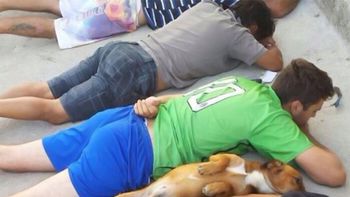 el perro que se rindio junto a los delincuentes el perro que se rindio junto a los delincuentes