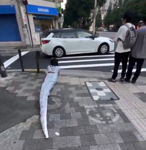 El video de un therian serpiente arrastrándose por las calles de Japón que se hizo viral