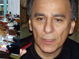 la insolita excusa de un diputado: voto a favor y luego le echo la culpa a una mosca la insolita excusa de un diputado: voto a favor y luego le echo la culpa a una mosca