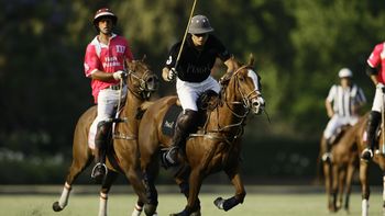 un hombre robaba caballos de polo para hacer chorizos y salamines un hombre robaba caballos de polo para hacer chorizos y salamines