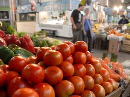 piden reducir el consumo de tomate por posibles faltantes piden reducir el consumo de tomate por posibles faltantes