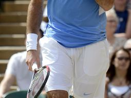 del potro no jugara la copa davis en todo el 2013 del potro no jugara la copa davis en todo el 2013