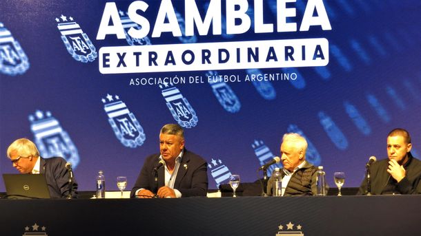 Oficial: la AFA confirmó que se eliminará un descenso