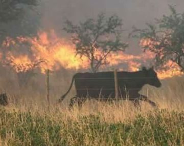 Así es el incendio en La Pampa