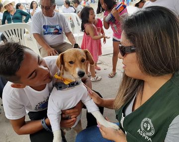 Un niño de 13 años salvó a su perro de un incendio y terminó muriendo