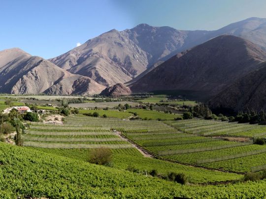 Pisco Elqui destaca por sus terapias alternativas.&nbsp;