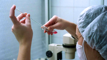 preservaran los ovulos de las mujeres con cancer para garantizar su fertilidad preservaran los ovulos de las mujeres con cancer para garantizar su fertilidad