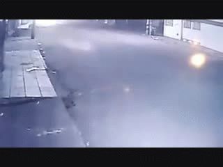 Impactante: caminaba por una vereda, la atacaron 15 perros y terminó en el piso