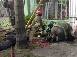 Bomberos revivieron a un perrito que quedó desvanecido en medio un incendio