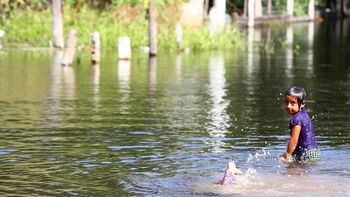 salud advierte por brote de dengue en el litoral tras las inundaciones salud advierte por brote de dengue en el litoral tras las inundaciones