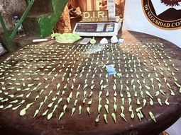 La Policía de la Ciudad incautó más de 600 dosis de cocaína en un maxikiosco y una pensión trucha en Constitución. La Policía de la Ciudad incautó más de 600 dosis de cocaína en un maxikiosco y una pensión trucha en Constitución.