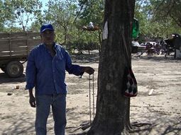 Foto: diario El Tribuno.