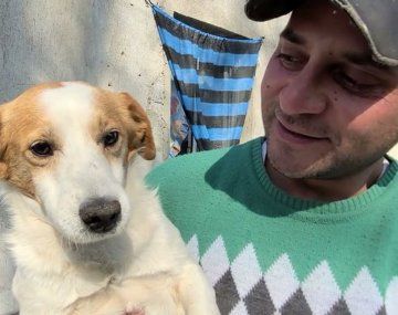Tristeza por la muerte del famoso perrito malvado de TikTok