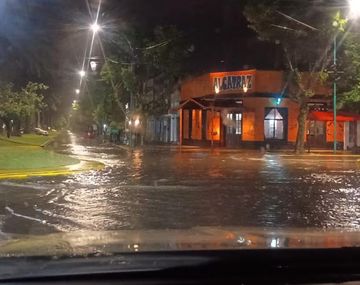 Fotos y videos: un feroz temporal de viento